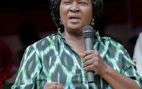 Prof. Opoku-Agyemang Expresses Concern About Abandoned Community Day Schools