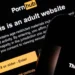 Pornhub and three other porn sites face EU child safety probe