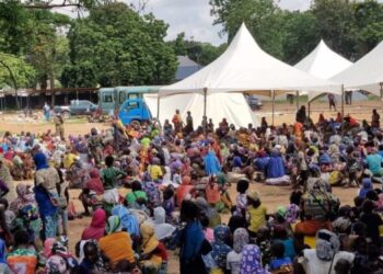 GIS: 925 undocumented migrants repatriated