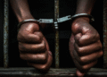 Elmina: Two arrested for smuggling 250 bags of cocoa beans