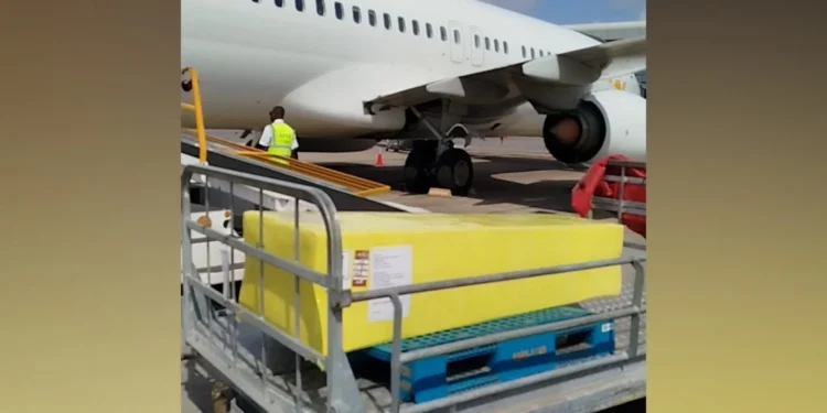 Late Nigerian Boxer Olanrewaju repatriated – GBA