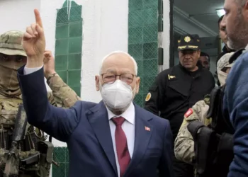 Tunisia sentences prominent opposition leader to 14 years in prison