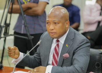 Ghana didn’t support LGBTQ+ rights – Ablakwa on UN abstention claims