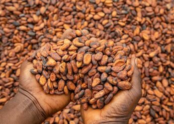 Mahama gov’t increases cocoa price to $5,040/tonne reflecting over 60% rise