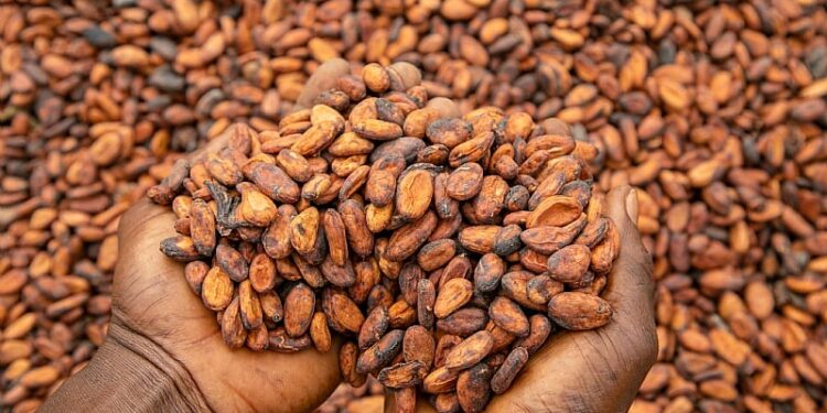 Mahama gov’t increases cocoa price to $5,040/tonne reflecting over 60% rise