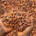 Mahama gov’t increases cocoa price to $5,040/tonne reflecting over 60% rise