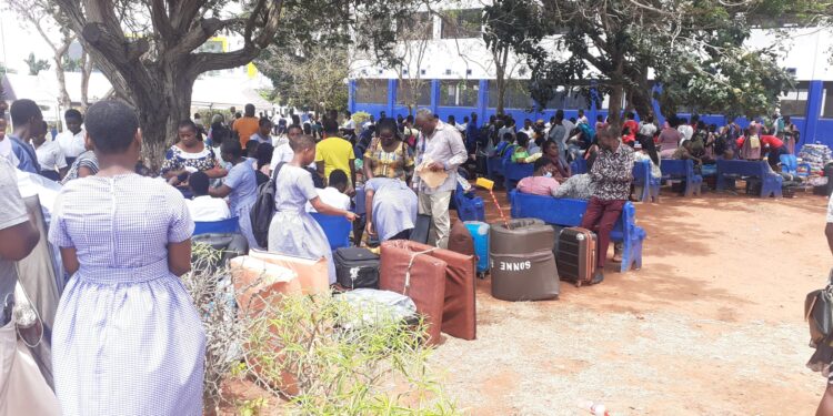 2025 SHS placement will be strictly merit-based – Education Ministry