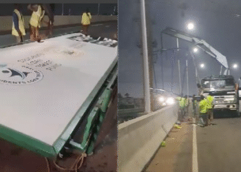 Ledzokuku MCE flags unauthorized billboards at Flowerpot Interchange