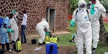 Ebola cases in Congo rise as authorities race to contain spread of outbreak