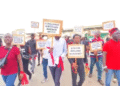 GWL workers decry 8-month suspension, call on Mahama to intervene