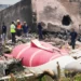 Kenya plane crashes near Kwale; 12 tourists feared dead