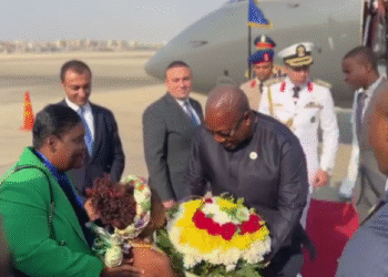 Mahama joins global leaders in Cairo for Grand Egyptian Museum inauguration