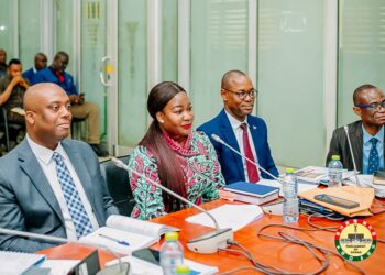 PAC commends MIIF CEO for honesty, competence, institutional reforms