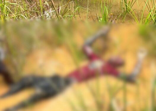 A/R: Man found dead after dispute with sex worker at Abrense