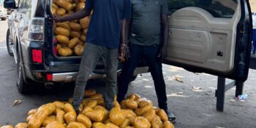 Tema police seize over 1,600 suspected narcotic parcels, arrest two