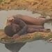 Ashanti Region: Man found dead in Aboabo drain