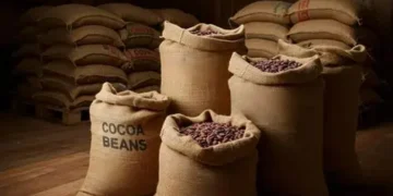 Gov’t reduces cocoa bag price from GH¢3,600 to GH¢2,587 amid sector crisis