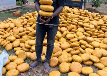 Oti Police seize over 4,000 suspected narcotics in Dambai truck bust