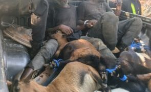 South Korea: Mahama conferred Honorary PhD by Yonsei University