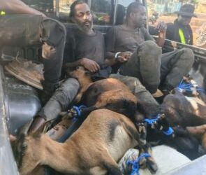 South Korea: Mahama conferred Honorary PhD by Yonsei University