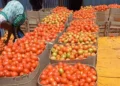 Burkina Faso lifts ban on fresh tomato exports