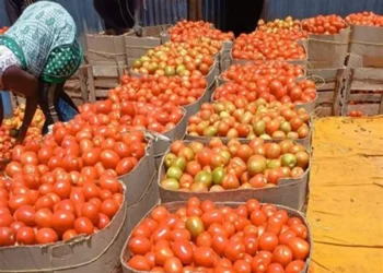 Burkina Faso lifts ban on fresh tomato exports