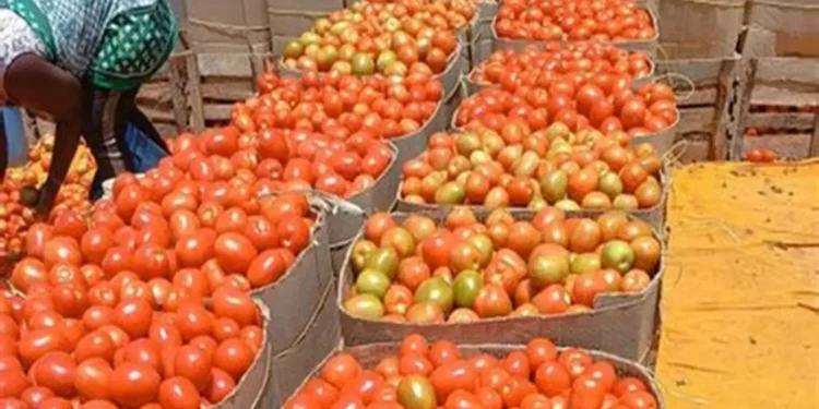 Burkina Faso lifts ban on fresh tomato exports