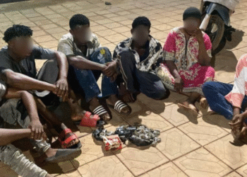 Police arrest seven in Tamale anti-drug swoops; 40 wraps of suspected Indian hemp seized