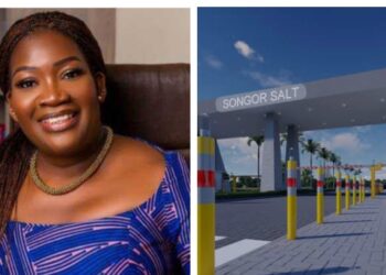 MIIF investigates $30m Electrochem investment over zero returns