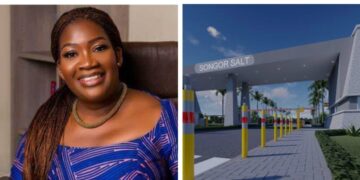 MIIF investigates $30m Electrochem investment over zero returns