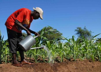 MoFA to launch 42nd National Farmers’ Day celebration on June 30