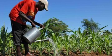 MoFA to launch 42nd National Farmers’ Day celebration on June 30