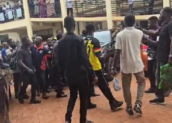 Adwoa Safo’s brother, eight others granted GH¢500k bail each over shooting incident