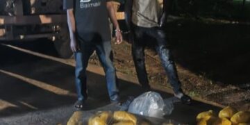 Two arrested as Tema Police seize truck carrying suspected narcotics at Afienya
