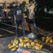 Two arrested as Tema Police seize truck carrying suspected narcotics at Afienya