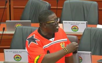 Majority Caucus reject claims of special World Cup travel slots for MPs