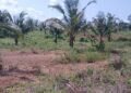 Ashanti RCC, Minerals Development Fund intensify enforcement of polluter-pays rule in mining areas