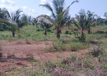 Ashanti RCC, Minerals Development Fund intensify enforcement of polluter-pays rule in mining areas