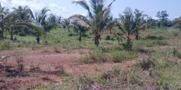 Ashanti RCC, Minerals Development Fund intensify enforcement of polluter-pays rule in mining areas
