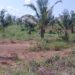 Ashanti RCC, Minerals Development Fund intensify enforcement of polluter-pays rule in mining areas