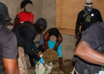 NACOC dismantles major cannabis production hub in Volta Region; three arrested