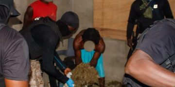 NACOC dismantles major cannabis production hub in Volta Region; three arrested