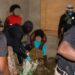 NACOC dismantles major cannabis production hub in Volta Region; three arrested