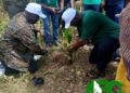 Forestry Commission launches 2026 tree for life initiative in Western Region