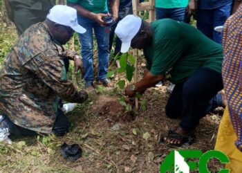 Forestry Commission launches 2026 tree for life initiative in Western Region