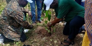 Forestry Commission launches 2026 tree for life initiative in Western Region