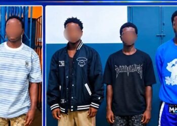 Wa: Police arrest suspected motorbike theft syndicate, 17 bikes recovered