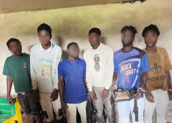 A/R: Police arrest 24, recover gun, drugs and unregistered vehicles