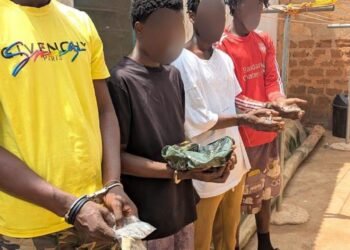 A/R: Police bust alleged drug ring targeting university students, arrest 44
