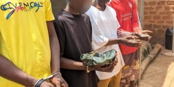 A/R: Police bust alleged drug ring targeting university students, arrest 44